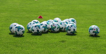 印度主帅称球队正处最佳状态，印度国家队球员名单