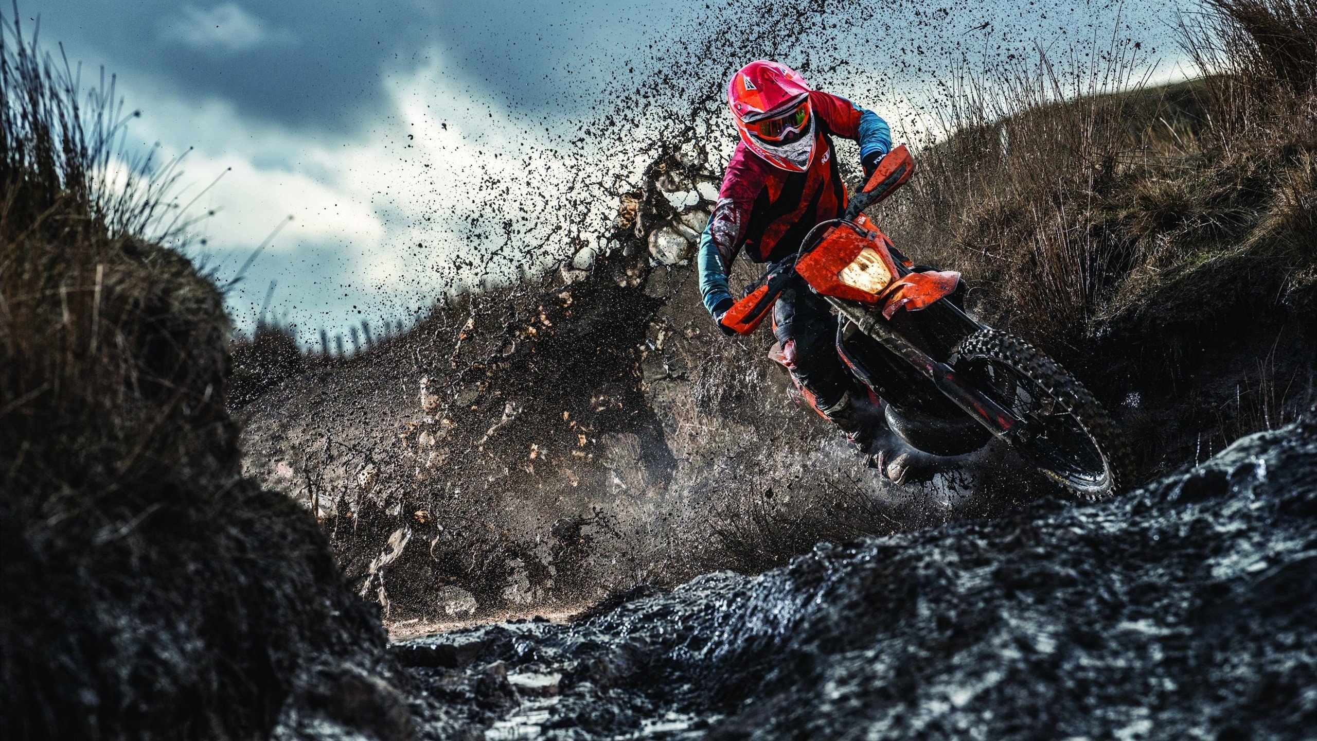 正式退出！全红婵宣布意外决定，退出全运会比赛，陈芋汐送祝福