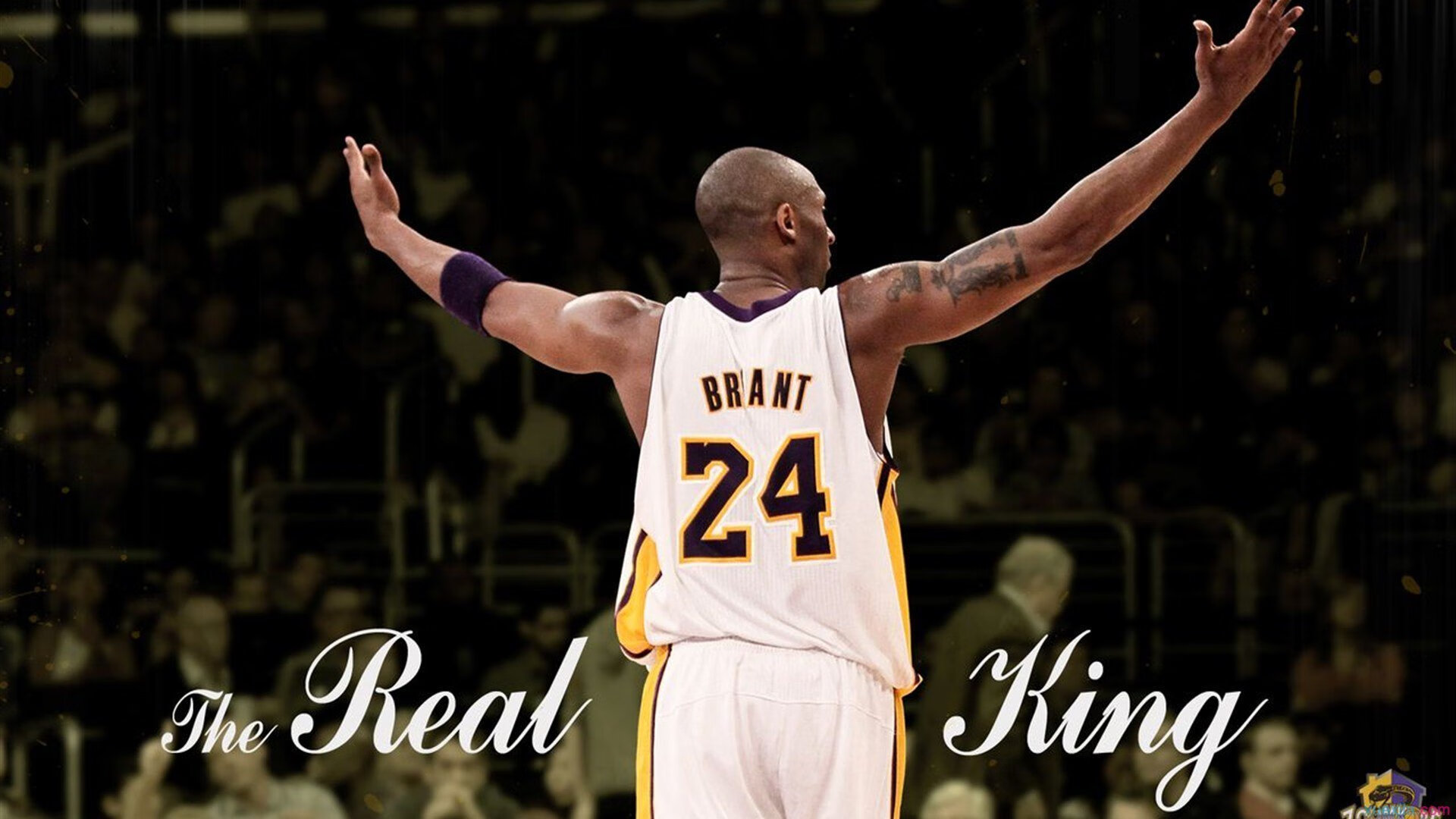 湖人阵容调整，期待更好表现，湖人阵容强大